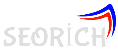 Arama motoru optimizasyonu – SEORİCH